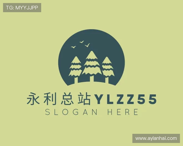 了解永利总站ylzz55